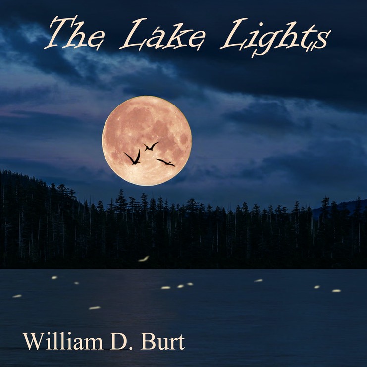 THE LAKE LIGHTS COVER